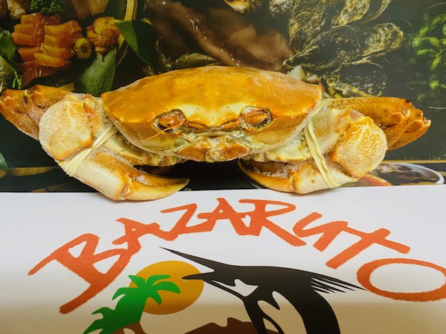 Orange Crab Extra Large