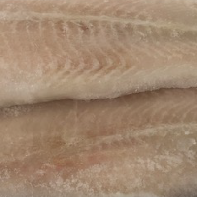 Pangasius Fillets (R180 P/Kg) – Bazaruto Seafood