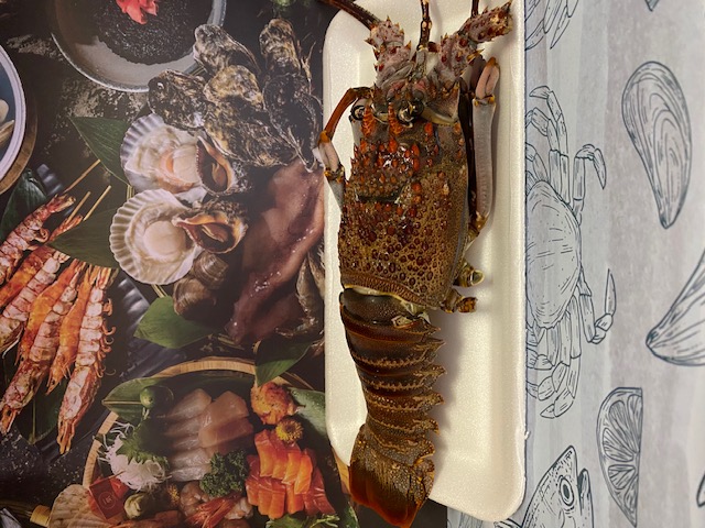 Whole Lobster 500g + (R590 p/Kg)