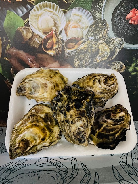 XLarge Oysters (R175 per pkt of 5)